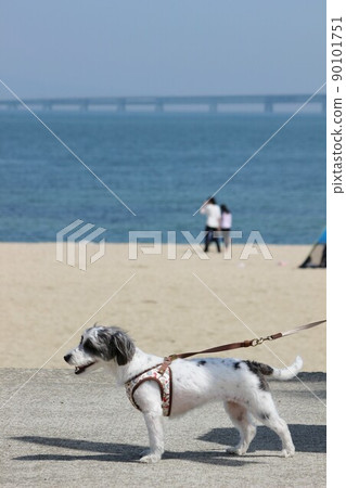 Sennan Long Beach 90101751