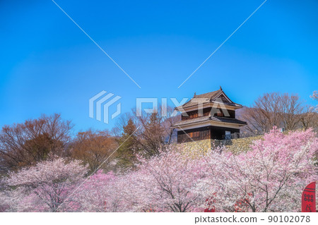 盛開的櫻花和在萬里無雲的天空中閃耀的上田城遺址 90102078
