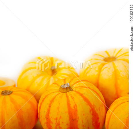 fresh yellow pumpkin fresh yellow pumpkin 90102512