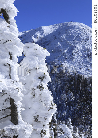 Mt. Tengu, a snowy mountain in the midwinter 90102601