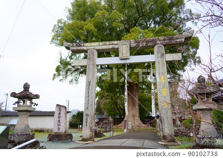 津江神社的大樟樹（福岡縣八女市黑木町） 90102738