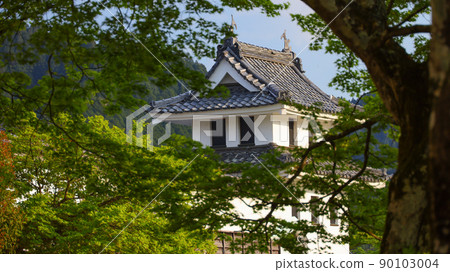 郡上八幡城 郡上八幡城 90103004