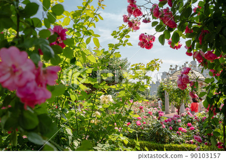 Jungnang Rose Park, Seoul Rose Festival along the Jungnangcheon Stream in Seoul, Korea Jungnang Rose Park, Seoul Rose Festival along the Jungnangcheon Stream in Seoul, Korea 90103157
