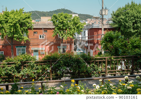 Jungnang Rose Park, Seoul Rose Festival along the Jungnangcheon Stream in Seoul, Korea Jungnang Rose Park, Seoul Rose Festival along the Jungnangcheon Stream in Seoul, Korea 90103161