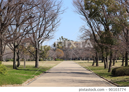 Oomaki Castle Park's tree trees Oomaki Castle Park's tree trees 90103774