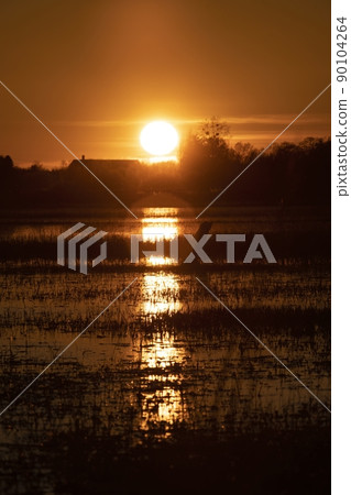 A scenic view of the red sunset reflecting on the swamp A scenic view of the red sunset reflecting on the swamp 90104264