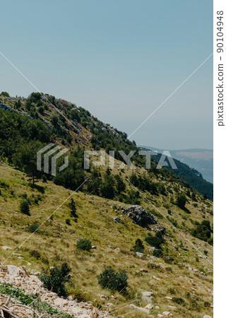 Panoramic view of idyllic mountain scenery in the Alps with fresh green meadows in bloom on a beautiful sunny day. Summer mountain landscape Landcscape hight mountains. Landscape in the fields. 90104948