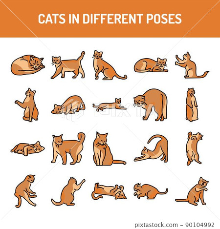 Different poses of cats line icons set. Isolated vector element. 90104992