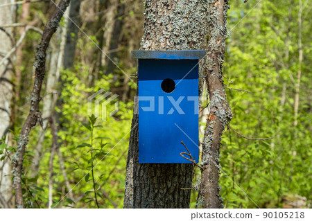 a beautiful blue bird house in a tree in the park 90105218