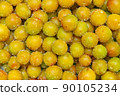 Umeboshi, Umeboshi, Umeboshi, Ingredients, Food Umeboshi, Umeboshi, Umeboshi, Ingredients, Food 90105234