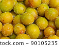 Umeboshi, Umeboshi, Umeboshi, Ingredients, Food Umeboshi, Umeboshi, Umeboshi, Ingredients, Food 90105235
