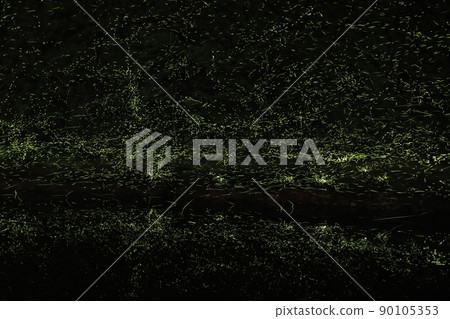 [夏季圖片]螢火蟲舞 90105353