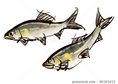 香魚的插圖 香魚的插圖 90105413