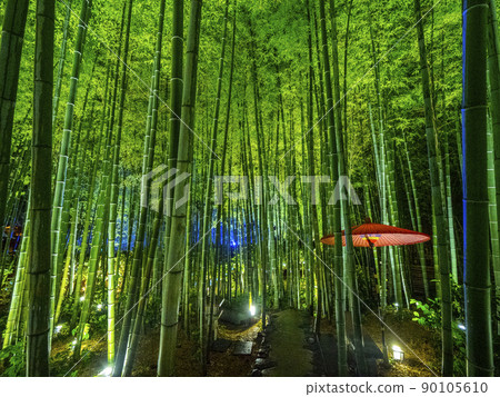 [Akita Prefecture] Oga Peninsula Unshoji Temple Hydrangea Illuminated Bamboo Forest 90105610