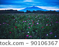 Poppy field and Mt. Tsukuba 90106367