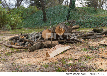 City Park Trimming 90107112