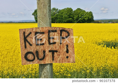 Homemade Keep Out Signs Posted at Edge of Canola Field to Warn Trespassers to Stay Out  90107378