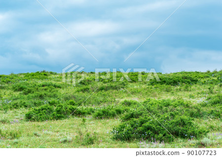 partially blurred landscape with spring mountain shrubland 90107723