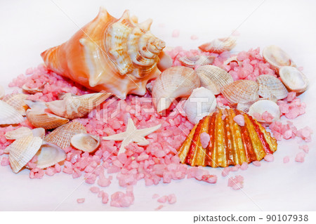 Shell decor Shell decor 90107938