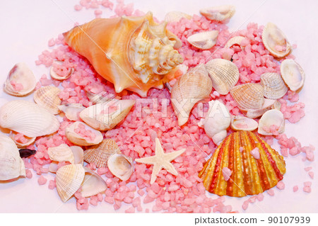 Shell 90107939