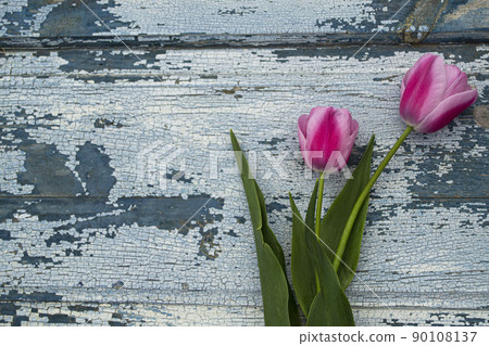 Red tulips on a gray wooden background close-up, backgrounds and textures. Red tulips on a gray wooden background close-up, backgrounds and textures. 90108137