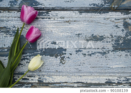 Red tulips on a gray wooden background close-up, backgrounds and textures. Red tulips on a gray wooden background close-up, backgrounds and textures. 90108139
