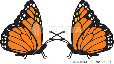 Two butterflies color vector illustration Two butterflies color vector illustration 90108221