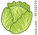 Green cabbage vegetable vector illustration 90108256