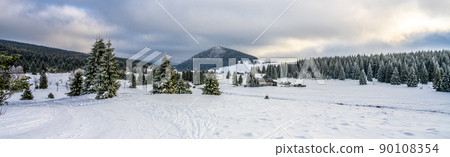 Snowy landscape of winter Jizera Mountains 90108354
