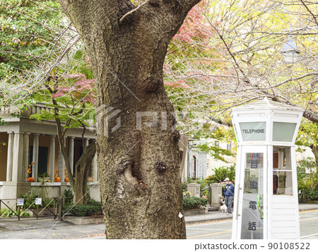 深秋（秋葉）在神奈川縣橫濱山手的西方館，充滿異國情調 90108522
