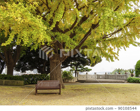 深秋（秋葉）在神奈川縣橫濱山手的西方館，充滿異國情調 90108544