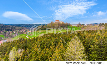 Pecka medieval castle from above 90109046