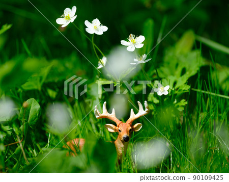 Flower field and deer figure Flower field and deer figure 90109425