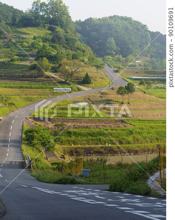 穿過水稻梯田的道路 穿過水稻梯田的道路 90109691