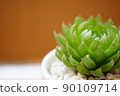 背景快照 90109714