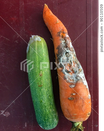 Rotten cucumber, carrots or Spoiled moldy vegetable waste 90110509