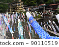 Many carp streamers swimming on the river 90110519