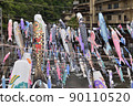 Many carp streamers swimming on the river 90110520