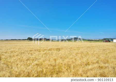 Wheat Fall Hill 90110913