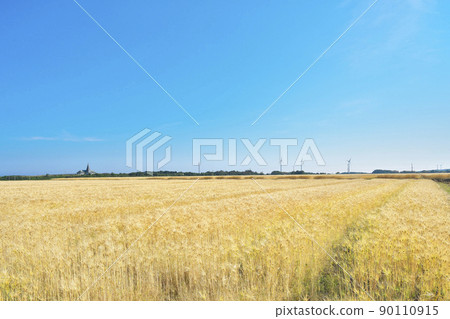 Wheat Fall Hill 90110915