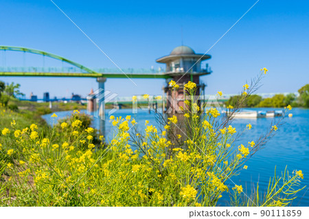 Kanamachi Water Purification Plant Intake Tower and Rape blossoms on the Edo River 90111859