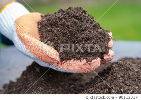 Hand holding peat moss organic matter improve soil for agriculture organic plant growing, ecology concept. Hand holding peat moss organic matter improve soil for agriculture organic plant growing, ecology concept. 90112317