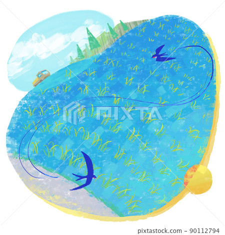 A pair of swallows flying with rice fields in early summer 90112794