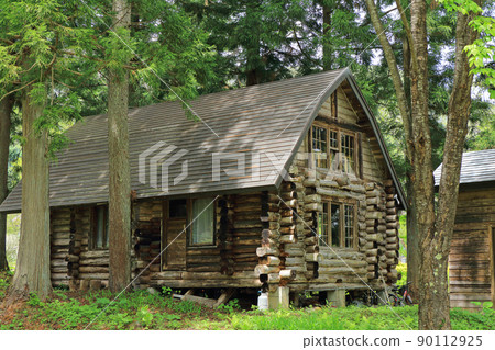 Old log house in the woods 90112925