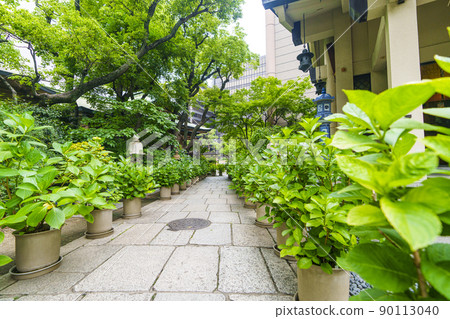 Ikasuri Shrine approach to Ikasuri Shrine (Honmachi, Osaka City, fresh green season) Ikasuri Shrine approach to Ikasuri Shrine (Honmachi, Osaka City, fresh green season) 90113040
