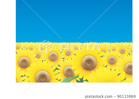 The land of sunflowers The land of sunflowers 90113069