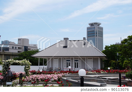 維尼公園玫瑰 90113076