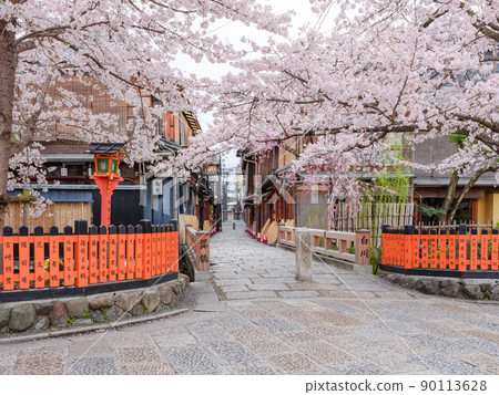 Kyoto Gion Shirakawa_Sakura in full bloom and Tatsumihashi Kyoto Gion Shirakawa_Sakura in full bloom and Tatsumihashi 90113628