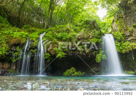 富士宮市的新鮮綠色金馬瀑布 富士宮市的新鮮綠色金馬瀑布 90113992