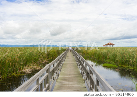 Beautiful view of Wooden Bridge on lotus lake at Khao Sam Roi Yod National Park, Thailand. 90114900